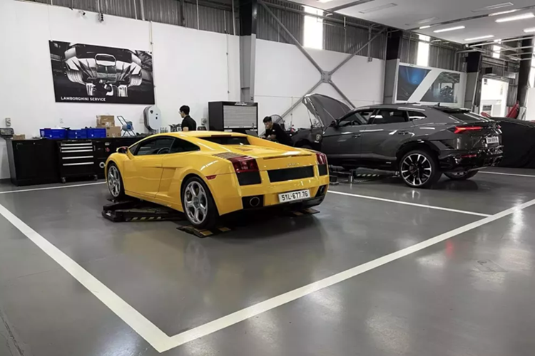 Hiện tại, dòng xe Lamborghini Gallardo có gần 10 chiếc, trong đó, có bản tiêu chuẩn, LP560-4, mui trần, hiệu năng cao như Superleggra, giới hạn như SE chỉ có 250 xe trên toàn thế giới.