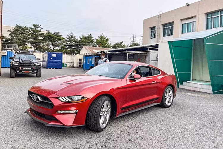 Tại Việt Nam số lượng xe Ford Mustang khá phong phú, thậm chí dân chơi xe không ngần ngại đưa về phiên bản nâng cấp của hãng độ Hennessey có công suất lên tới 808 mã lực và sản xuất số lượng giới hạn 19 chiếc trên toàn cầu.