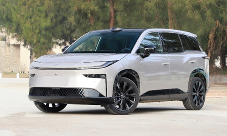 Toyota hoan xay dung nha may pin, chien luoc dien hoa thay doi?-Hinh-2