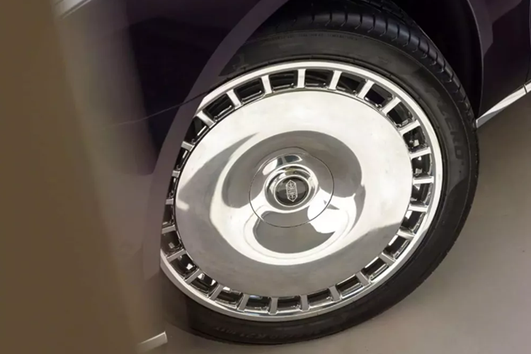 S800 sẽ có dạng BEV (xe điện chạy bằng pin) và EREV (xe điện có phạm vi hoạt động mở rộng). EREV là loại PHEV mà động cơ ICE không được kết nối trực tiếp với bánh xe, chỉ có pin điện hoặc e-moor. Nó cũng được gọi là PHEV series.