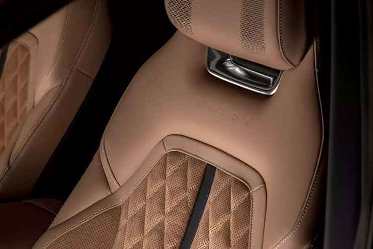 Mazda cung cấp cho 6e hai loại pin, gồm: loại nhỏ nhất có dung lượng 68,8 kWh cung cấp phạm vi chạy điện lên đến 483 km, có thể sạc từ 10-80% trong 22 phút với công suất sạc 200 kW. Khi sạc 15 phút phạm vi hoạt động của xe có thể đạt 233 km.