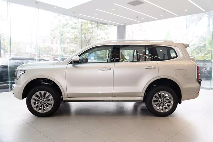 Hiện thời điểm ra mắt và giá bán của Tank 500 tại Việt Nam vẫn chưa được công bố. Tuy nhiên, theo tin đồn, xe sẽ có giá ưu đãi dành cho lô đầu tiên về Việt Nam là 2,137 tỷ đồng. Nếu giá bán này là chính xác thì Tank 500 rẻ bằng một nửa của Toyota Land Cruiser (4,286 tỷ đồng).