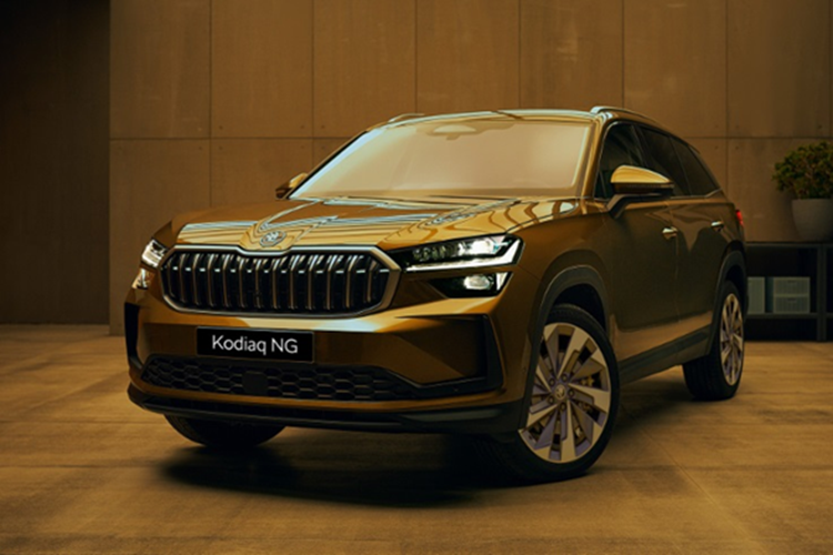 Hiện Skoda Kodiaq 2025 mới đã được nhiều đại lý nhận cọc tuy nhiên chưa rõ giá chính thức của xe là bao nhiêu, chỉ có giá tạm tính là khoảng 1,6 tỷ đồng cho bản cao cấp nhất. Những khách đặt xe đến hết ngày 31/1/2025 sẽ được Skoda Việt Nam tặng quà trị giá 20 triệu đồng. 