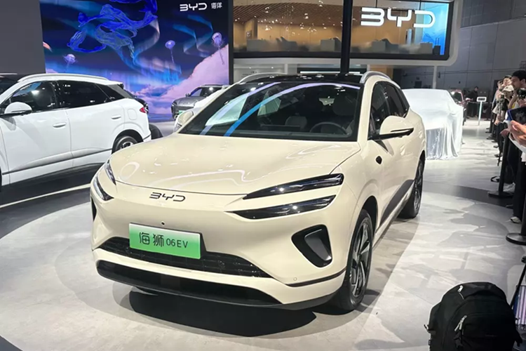 Sealion 06 thuộc dòng Ocean của thương hiệu BYD. Tuy có tên gọi gần giống nhau nhưng mẫu xe này lại không hề liên quan đến BYD Sealion 6 hiện đang bán ở Việt Nam. Dòng xe này lần đầu tiên lộ diện trên trang web của Bộ Công nghiệp và Công nghệ Thông tin Trung Quốc vào đầu tháng 4/2025.