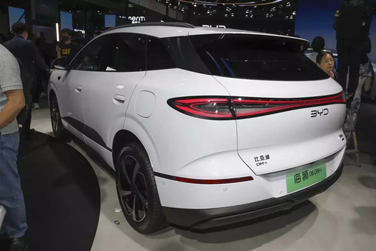 Trong tương lai, BYD có kế hoạch chuẩn hóa cách đặt tên với tất cả các mẫu sedan sẽ mang tên "Seal" và tất cả các mẫu SUV sẽ mang tên "Sealion". BYD sẽ phát triển một ma trận sản phẩm toàn diện, từ xe nhỏ đến lớn, trong hai danh mục tên gọi này.