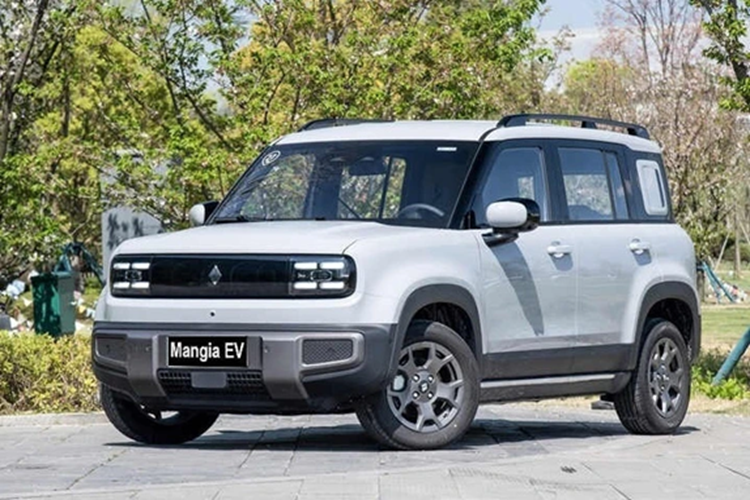 Xe được trang bị motor điện, sản sinh công suất 101 mã lực, mô men xoắn cực đại 180 Nm. Bên dưới sàn xe là bộ pin LFP dung lượng 32,6 kWh, cho phạm vi hoạt động khoảng 300-410 km/lần sạc.