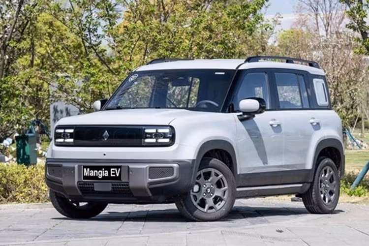 Xe được trang bị motor điện, sản sinh công suất 101 mã lực, mô men xoắn cực đại 180 Nm. Bên dưới sàn xe là bộ pin LFP dung lượng 32,6 kWh, cho phạm vi hoạt động khoảng 300-410 km/lần sạc.