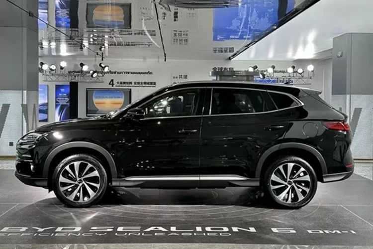 Các thông tin về sức mạnh tổng hợp và kích thước chưa được công bố. Mức tiêu thụ nhiên liệu dự kiến là 1,1 lít/100 km. Nguồn tin cho biết Sealion 6 bán tại Việt Nam có thể là bản Dynamic.