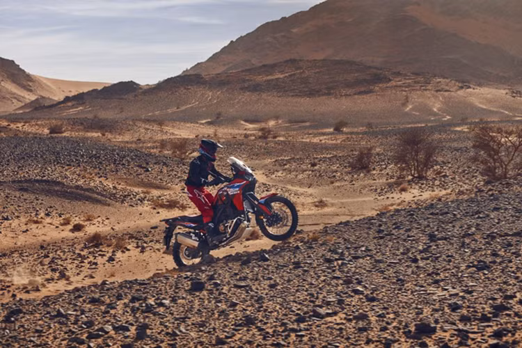 Honda CRF1100L Africa Twin 2025 mới được trang bị bộ khung nhẹ và cân bằng, giúp người lái dễ dàng kiểm soát khi đi qua những địa hình khó khăn. Phiên bản CRF1100L Africa Twin Adventure Sports được nâng cấp với bình xăng dung tích lớn hơn, và yên xe thoải mái hơn.
