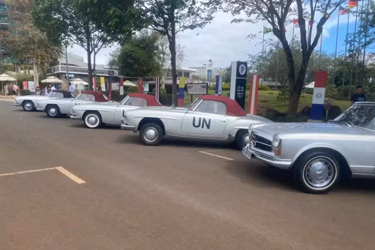 Trong số 6 chiếc xe Mercedes-Benz 190SL hàng hiếm, có 3 xe mui màu đỏ, 2 xe mui màu xanh và xe còn lại mui màu đen, được sắp xếp 2 vị trí đỗ tại bảo tàng thế giới cà phê, trước đó, ông Đặng Lê Nguyên Vũ chỉ mới cho lộ diện 2 xe 190SL thông qua việc mình cầm lái trên đường, và với số lượng sở hữu đến 6 xe Mercedes-Benz 190SL, gần như ông đã sưu tập đủ dàn xe này ở Việt Nam.