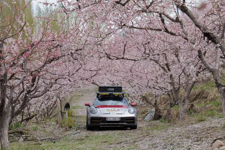Trong chuyến khám phá Trung Quốc vừa qua, đại gia Hải Phòng cầm lái Porsche 911 Dakar vượt ngàn dặm xa xôi đến đây và vẻ đẹp của rừng đào thảo nguyên lli, khiến cho người xem cảm thấy rất thỏa mãn, xua tan đi cái mệt mỏi sau chặng đường dài.