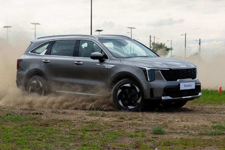 Hiện tại, Kia Việt Nam vẫn chưa đưa ra bất kỳ thông tin chính thức nào về Sorento 2025. Tuy nhiên vào tháng 9/2024, một chiếc Kia Sorento 2025 mới từng xuất hiện tại trung tâm kiểm định khí thải ở Hà Nội với lớp ngụy trang kín đáo và đã được chụp lại đưa lên mạng xã hội.