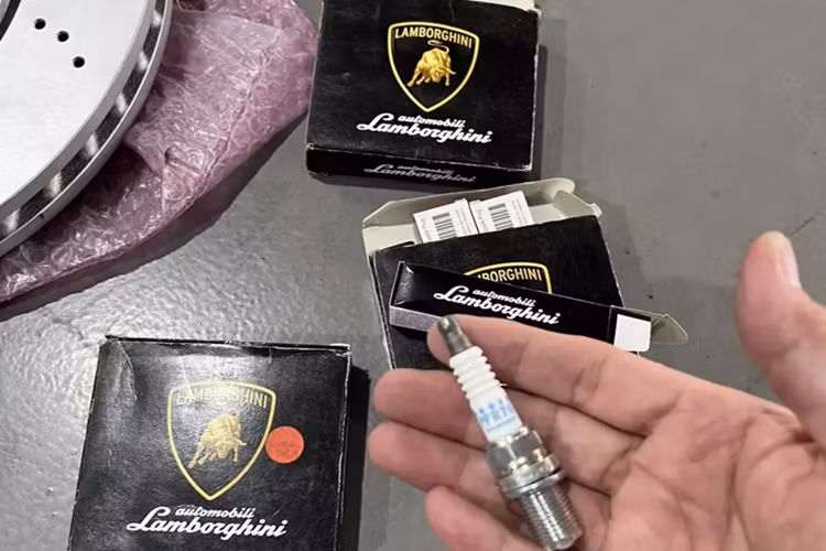 Hiện tại, dòng xe Lamborghini Gallardo có gần 10 chiếc, trong đó, có bản tiêu chuẩn, LP560-4, mui trần, hiệu năng cao như Superleggra, giới hạn như SE chỉ có 250 xe trên toàn thế giới.