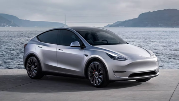 Viet Nam bung no nhu cau tru sac boi luong oto dien tang manh-Hinh-3