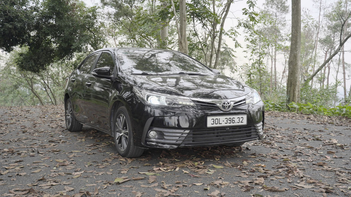 Gen Z bo Honda Cvic tre khoe, 