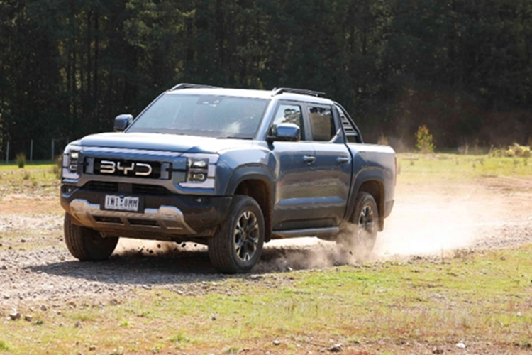 Hiện tại, giá xe BYD Shark 6 chưa được công bố . Tuy nhiên, nhiều nguồn tin cho rằng BYD sẽ định vị Shark 6 ở mức giá cạnh tranh để đối đầu các đối thủ như Ford Ranger, Toyota Hilux hay Mitsubishi Triton.