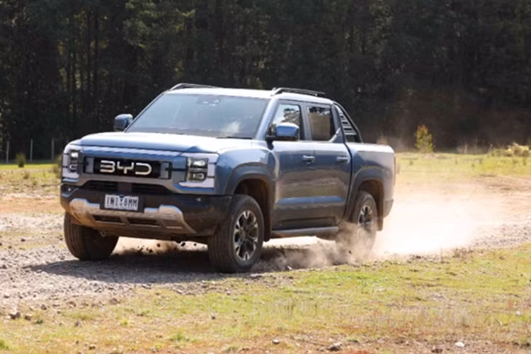 Hiện tại, giá xe BYD Shark 6 chưa được công bố . Tuy nhiên, nhiều nguồn tin cho rằng BYD sẽ định vị Shark 6 ở mức giá cạnh tranh để đối đầu các đối thủ như Ford Ranger, Toyota Hilux hay Mitsubishi Triton.