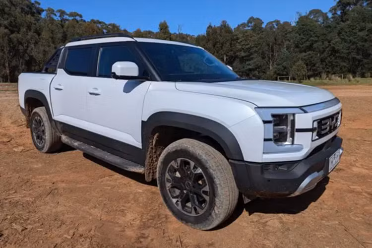 Về trang bị an toàn, BYD Shark 6 sở hữu hệ thống camera 360 độ và hệ thống DiPilot với các công nghệ hỗ trợ lái tiên tiến như: Cảnh báo va chạm phía trước (FCW); Phanh tự động khẩn cấp (AEB); Cảnh báo điểm mù (BSD); Cảnh báo chệch làn đường (LDW); Kiểm soát hành trình thích ứng (ACC); Cảnh báo phương tiện cắt ngang phía sau (RCTA); Đèn pha tự động (AHB).