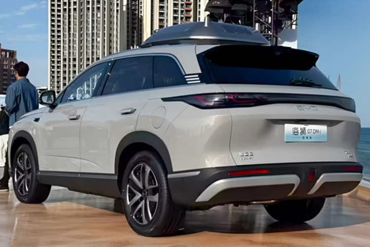 Hỗ trợ lái trên cao tốc, nội đô, đỗ xe tự động và tránh vật cản. Trong khi đó, DiPilot 100 ở phiên bản tiêu chuẩn vẫn có đầy đủ tính năng cơ bản với hệ thống ba camera. Các tính năng bao gồm hỗ trợ điều hướng, chuyển làn và đỗ xe tự động với tỷ lệ thành công lên tới 90% trong môi trường đô thị.