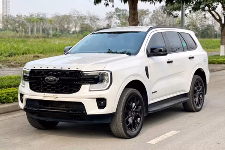 Xe nhap khau tang manh, chiem uu the tren thi truong oto Viet