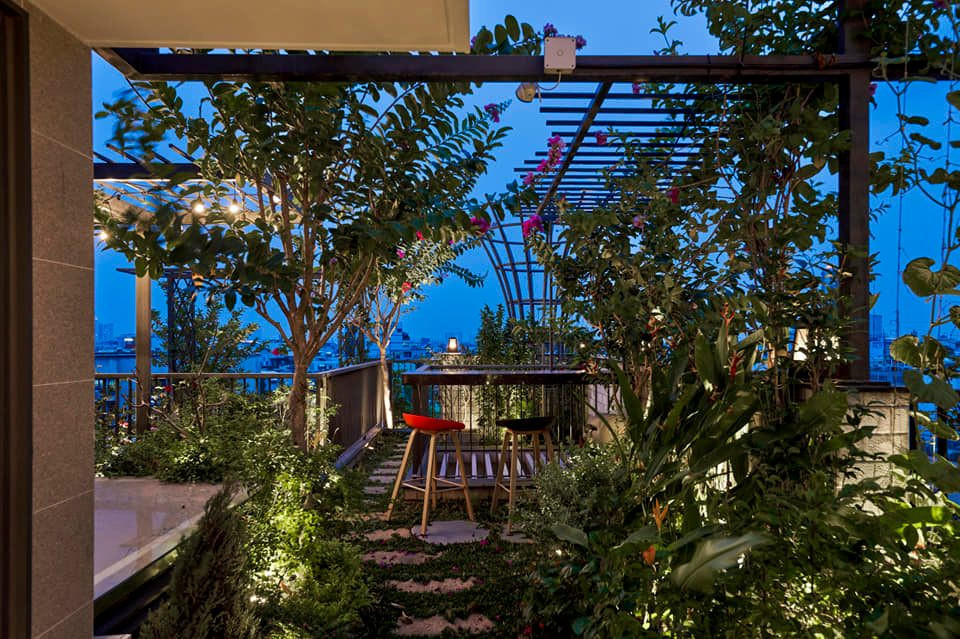 "Khu rừng nhiệt đới" trên sân thượng...