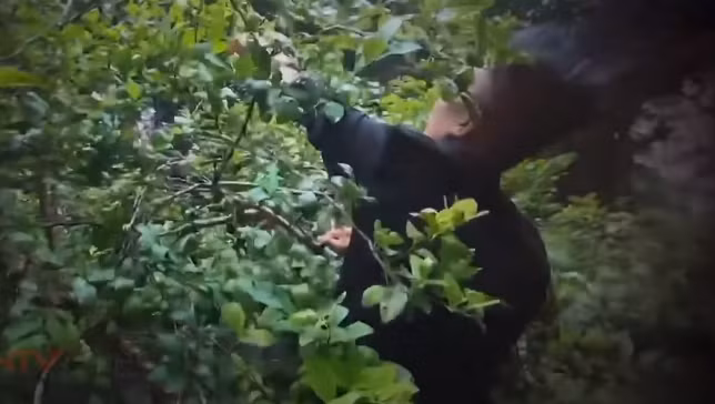 Theo lời khai của Vi Văn Hai, trưa 2/7/2015, gia đình anh ta nhờ một số người trong bản đi kéo gỗ về để dựng nhà. Sau khi dựng xong, nhà Hai tổ chức liên hoan cảm ơn mọi người đến giúp. Khi làm cơm do thiếu chanh, thanh niên này đi tới lán của anh Lo Văn Thọ hái quả. Sau đó, Hai vào lán của anh Thọ xin muối ăn. Tại đây, Hai xảy ra mâu thuẫn với anh Thọ.