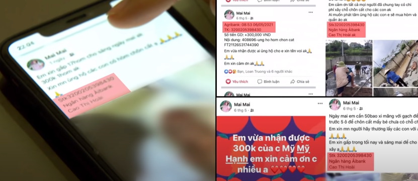 Qua xem xét các đơn thư tố cáo, cơ quan CSĐT Công an tỉnh Nam Định nhận thấy, mặc dù số lượng nạn nhân rất đông, hầu hết đều mô tả được tường tận lý do sập bẫy cũng như căn nguyên phát hiện hành vi lừa đảo của đối tượng nhưng không một ai có thể cung cấp chính xác thân nhân, lai lịch, nơi ở của đối tượng; cũng không người nào từng trực tiếp gặp hay mô tả được nhân dạng, hình dáng đối tượng ngoài một vài tấm hình ít ỏi được đăng công khai trên trang facebook Mai Mai.