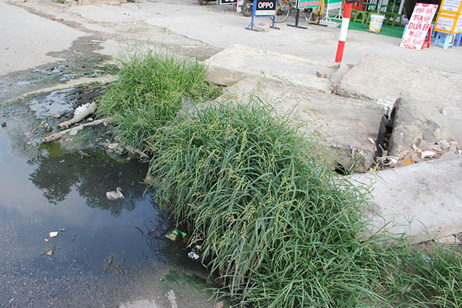Bên cạnh đó, đoạn đường trên cũng đang bị ô nhiễm do nước từ cống rỉ ra đen ngòm bốc mùi hôi thối.