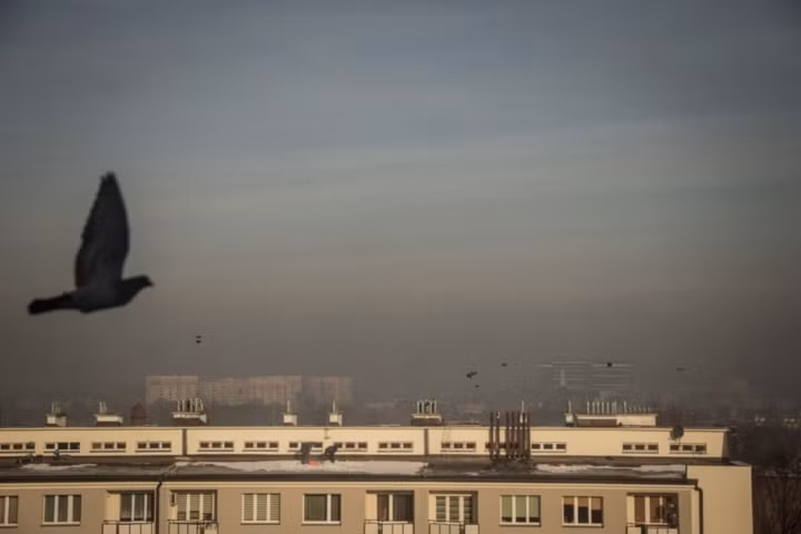 Một lớp khói mù bao phủ Katowice, nơi diễn ra Hội nghị về chống biến đổi khí hậu của Liên Hợp Quốc (COP24). Các lò sưởi trong nhà khắp Ba Lan đều sử dụng than đá, dù nhiều hộ thu nhập thấp phụ thuộc vào củi và rác thải để làm chất đốt.