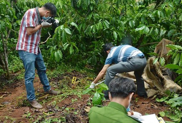 Bac Giang: Dang lam vuon, nguoi phu nu bi trung dan tu vong