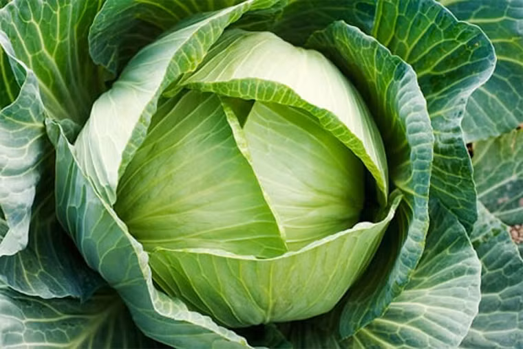  Rau họ cải. Súp lơ xanh, cải bắp, cải xoăn, củ cải… chứa nhiều indoles, sulfoxide và 5 – methyl – methionine có tác dụng chống ung thư mạnh. Bên cạnh đó, thưởng thức món ăn từ rau họ cải còn góp phần giải độc gan. 