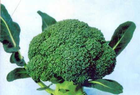  Rau họ cải. Các chuyên gia khuyên nên lựa chọn rau họ cải như cải bắp, súp lơ, cải xoăn nhằm ngăn ngừa nguy cơ ung thư đại tràng, phổi và dạ dày. 