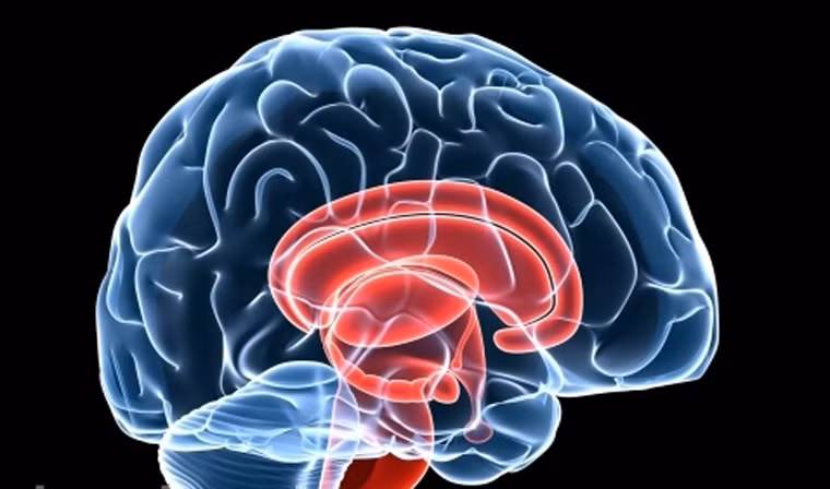  Trường hợp bệnh chuyển sang giai đoạn cuối, người bệnh bị tổn thương não diện rộng do khối u đã di căn. Nhiều đối tượng mắc bệnh cho biết, họ thường xuyên bị hành hạ bởi cơn co thắt khiến cơ thể cứng nhắc, cánh tay, bàn tay, chân, đầu, cổ như bị kéo ra phía sau. Thậm chí, không ít người gặp khó khăn trong việc kiểm soát động tác đòi hỏi sự uốn cong hoặc đưa vào phía trong. 