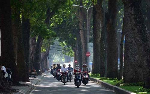 Lý tưởng nhất là tuyến đường Tôn Đức Thắng. Ngoài hàng cây cổ thụ, gió từ sông Sài Gòn thổi vào như chiếc "điều hòa khổng lồ" làm dịu lòng người tham gia lưu thông giữa cái nắng Sài Gòn rực lửa. (Ảnh Nguyễn Trương Quý/Tuổi trẻ)