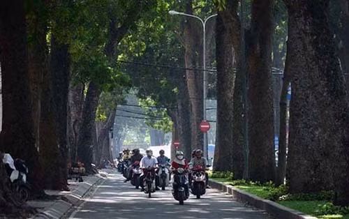 Lý tưởng nhất là tuyến đường Tôn Đức Thắng. Ngoài hàng cây cổ thụ, gió từ sông Sài Gòn thổi vào như chiếc "điều hòa khổng lồ" làm dịu lòng người tham gia lưu thông giữa cái nắng Sài Gòn rực lửa. (Ảnh Nguyễn Trương Quý/Tuổi trẻ)