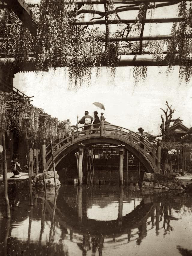 Người phụ nữ cầm ô đứng ở giữa cây cầu trong khuôn viên Đền Kameido Tenjin. Phía trên bức hình, hoa tử đằng đang bung nở trên giàn. Ảnh QQ.