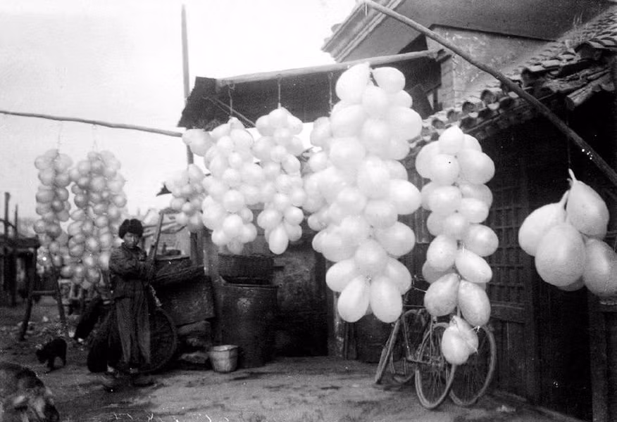 Bạn đừng lầm tưởng đây là một cửa hàng bán bóng bay nhé. Đó thực chất là cửa hiệu bán thịt bò và bán bàng quang của con cừu. Vào thời đó, bàng quang cừu chủ yếu được sử dụng để đựng rượu. Ban đầu, người ta thường bỏ bàng quang đó đi. Hơn 100.000 túi đựng rượu từ bàng quang cừu đã được bán ra mỗi năm ở khu vực Bắc Kinh. Ảnh ILS.