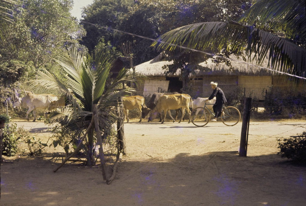 Thôn xóm ở ngoại vi thị trấn Đất Đỏ. Ảnh: Culturalspot.org.