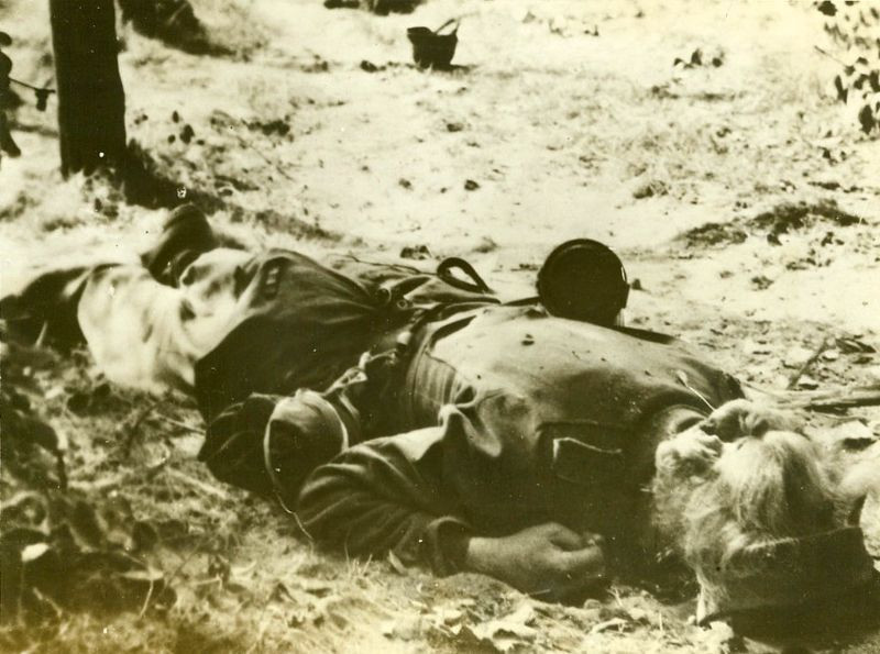 Thi thể một nữ quân nhân thiệt mạng trong cuộc chiến chống Đức Quốc xã ở Hà Lan. Ảnh: James Allison.