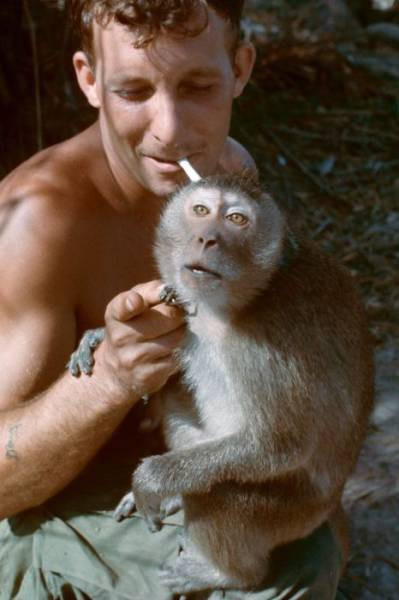  Vừa hút thuốc, vừa nghịch khỉ, thú tiêu khiển không đụng hàng của một người lính Mỹ. Ảnh: Izismile.com. 