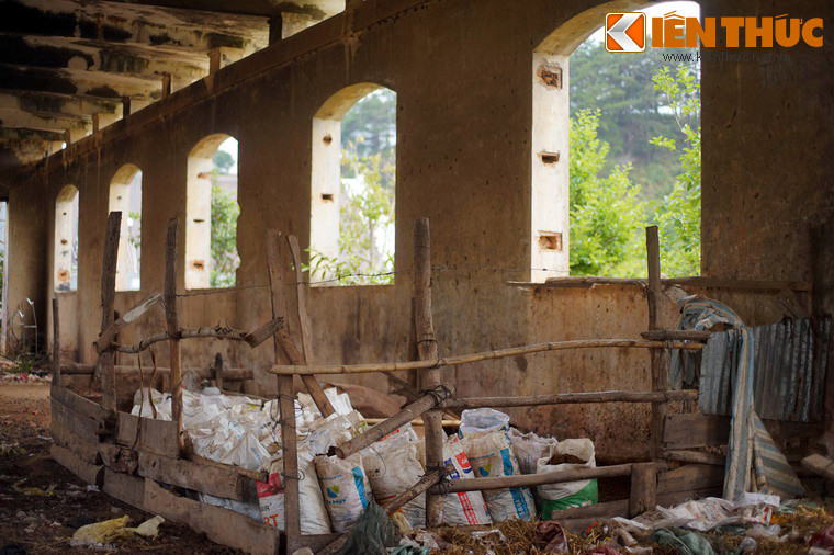 Các khung cửa rộng đã bị tháo hết cánh khiến không gian rất cô quạnh.