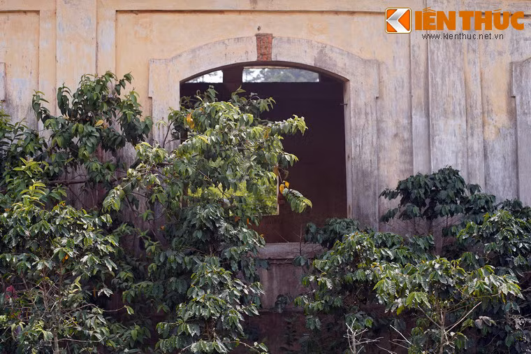 Đáng buồn hơn, ga Eo Gió không phái nhà ga duy nhất của tuyến đường sắt Phan Rang - Đà Lạt rơi vào tình trạng như vậy.