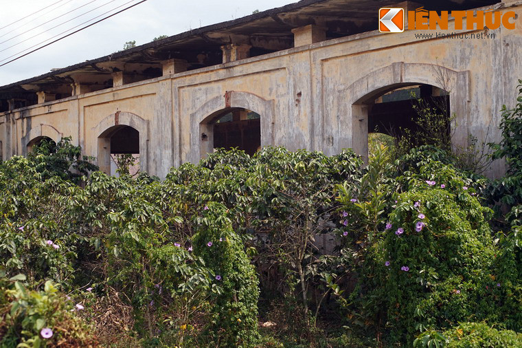 Mặt ngoài nhà ga bị bao phủ bởi các loài cây cỏ dại.