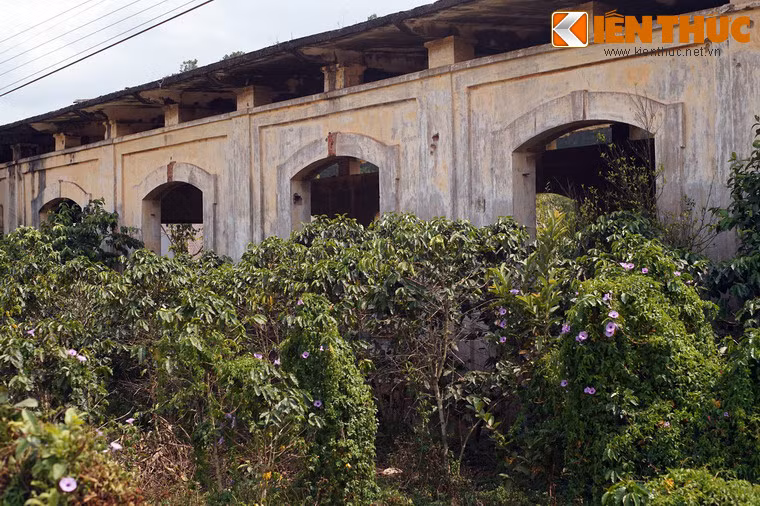 Mặt ngoài nhà ga bị bao phủ bởi các loài cây cỏ dại.