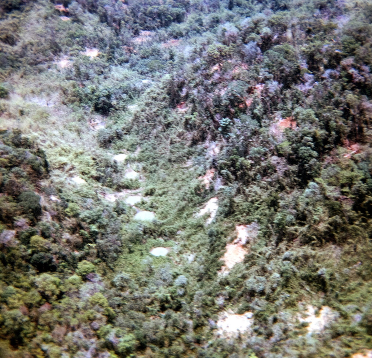 Một cánh rừng ở Campuchia sau vụ ném bom rải thảm của máy bay B-52 Mỹ, tháng 5/1970. Ảnh: Richard Udden.