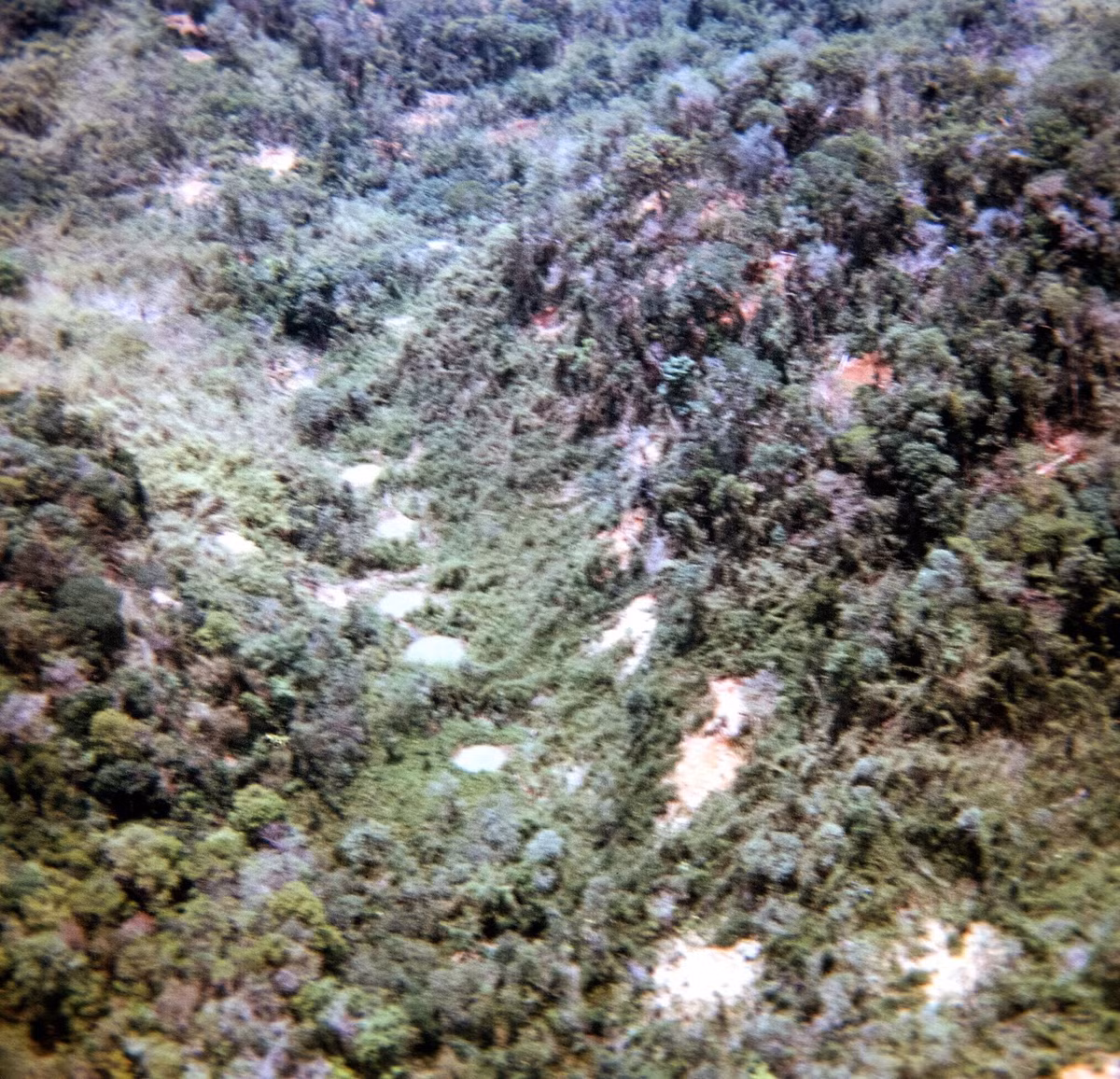 Một cánh rừng ở Campuchia sau vụ ném bom rải thảm của máy bay B-52 Mỹ, tháng 5/1970. Ảnh: Richard Udden.