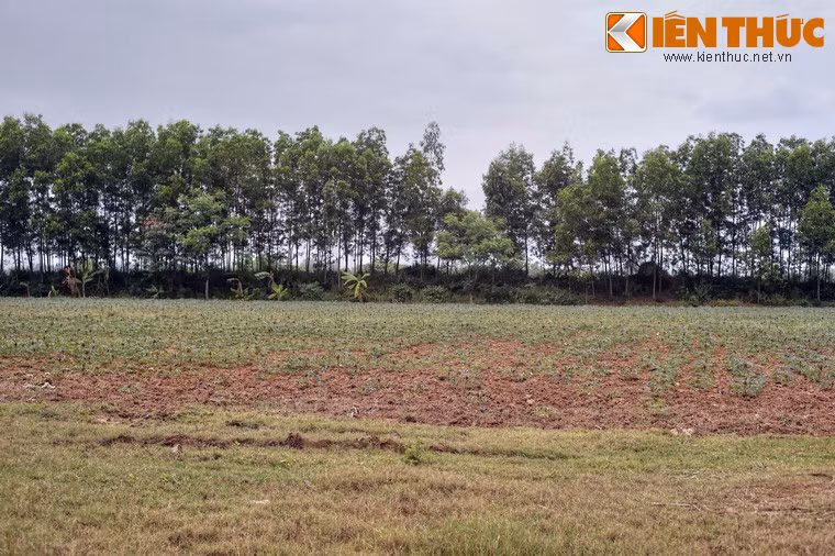 Hiện nay, những gì còn lại của thành Cha là những đoạn tường thành không còn nguyên vẹn, bị bao phủ bởi cây cối. Dù vậy, những bằng chứng này vẫn đủ để phác họa một tòa thành cổ có kiến trúc độc đáo hiếm có.