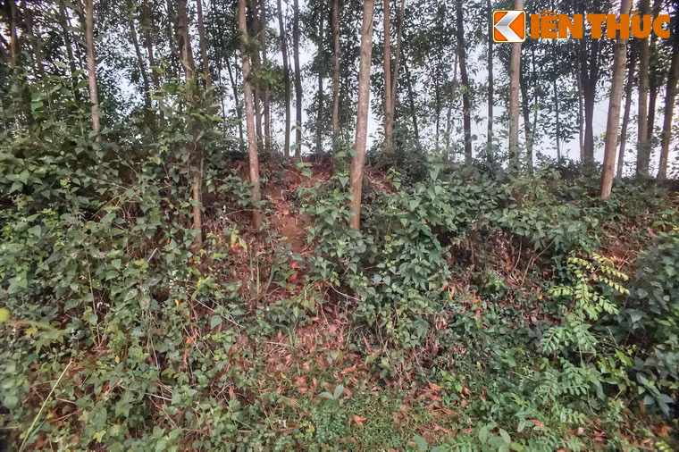 Về cách thức xây dựng, thành Cha được xây đắp bằng đất, bên trong có trộn gạch vữa và ngói ống.