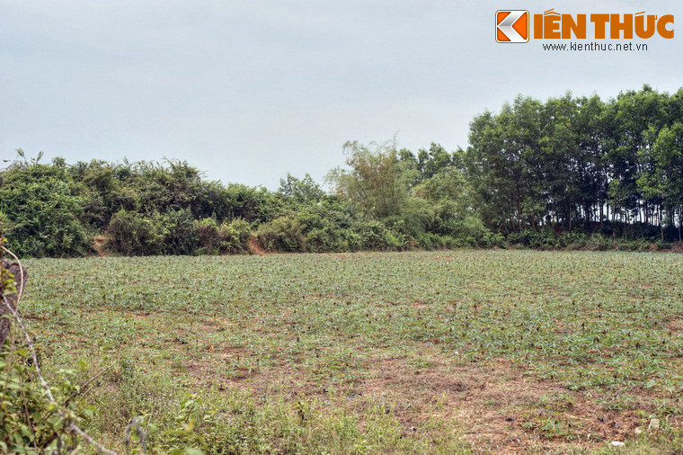 Theo bình đồ, hệ thống thành Cha gồm hai tòa thành hình chữ nhật, một lớn, một nhỏ liên kết với nhau. Tòa thành lớn nằm về phía Đông, tòa thành nhỏ nằm phía Tây. Hai tòa thành này có chung một bức tường ở khu vực tiếp giáp.