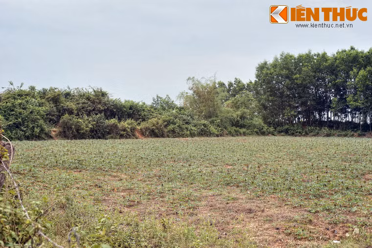 Theo bình đồ, hệ thống thành Cha gồm hai tòa thành hình chữ nhật, một lớn, một nhỏ liên kết với nhau. Tòa thành lớn nằm về phía Đông, tòa thành nhỏ nằm phía Tây. Hai tòa thành này có chung một bức tường ở khu vực tiếp giáp.